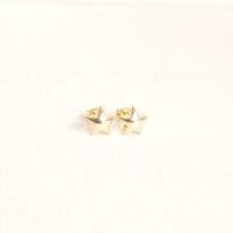 Brinco Estrela Cheia