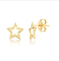 Brinco fixo estrela