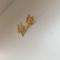 Brinco Folha design Elegante Brinco Folha design Elegante