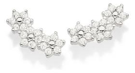 Brinco Formato Flores Cravejado Por 36 Zirc 820115