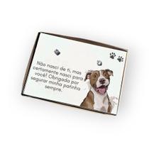 Brinco ponto de luz de aço + Caixa presente Mãe de Pitbull