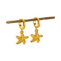 Brincos De Argola Em Forma De Estrela Do Mar Para Mulheres, À Prova d'Água, Em Aço Inoxidável,