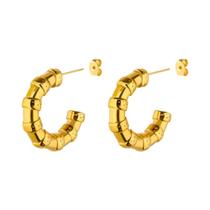 Brincos De Bambu Dourado Para Mulheres Em Aço Inoxidável Joias De Casal Tendência 2024