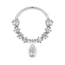 Brincos De Piercing Femininos De Moda Em Aço Inoxidável Com Cristal, Argolas Clicker Para Septo, Brincos De Piercing Femininos De Moda Em Aço Inoxidável Com Cristal, Argolas Clicker Para Septo,