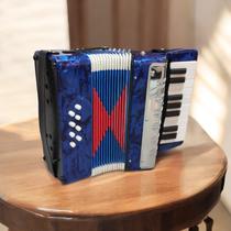 Brinquedo Acordeão Infantil, Sanfona Musical, 17 Teclas, 8 Baixos - Fun Game