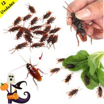 Brinquedo Baratas De Borracha Pegadinha Com Amigos 12 Un Brinquedo Baratas De Borracha Pegadinha Com Amigos 12 Un