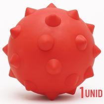 Brinquedo Bola Macica Cravo 75mm Caes 1 Un