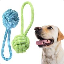 Brinquedo Bola Mordedora de Corda para Cachorro Pet Azul/Verde