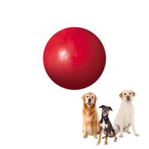 Brinquedo Bola Para Cachorro Médio Grande 80mm Furacão Pet