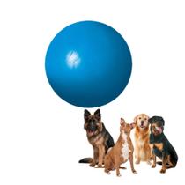 Brinquedo Bola Para Cachorro Porte Grande 100mm Furacão Pet