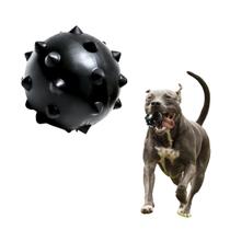 Brinquedo Bola Pet Grande Macica Resistente Cravo Cachorro - BASSANETO