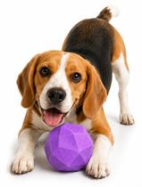 Brinquedo Bola Rocky Ball Stark Pet Roxo Neon 60mm Brinquedo Bola Rocky Ball Stark Pet Roxo Neon 60mm