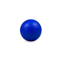 Brinquedo Cachorro Bolinha Pet Interativo Bola Maciça Pula Pula Resistente Porte Pequeno