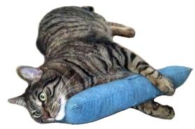 Brinquedo Catnip Cat Kicker West Coast Pet Products - Jeans Claro