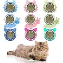Brinquedo Catnip Wall Ball Harrycle para gato Kitten Kitty Pet 9 unidades Brinquedo Catnip Wall Ball Harrycle para gato Kitten Kitty Pet 9 unidades