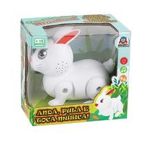 Brinquedo Coelhinho Musical Anda Pula Com Som e Luzes Braskit Brinquedo Coelhinho Musical Anda Pula Com Som e Luzes Braskit