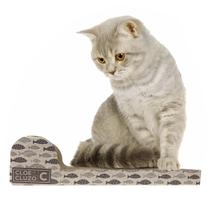 Brinquedo Com Cat Nip Arranhador De Papelão Para Gatos Pets Com Erva Catnip Com Bolinha Interativa Divertida Protetor Sofá Cama Cortina Poste - Luchini Shop