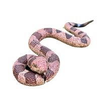 Brinquedo de cobra em espiral realista com figura de cascavel de 30 cm para crianças