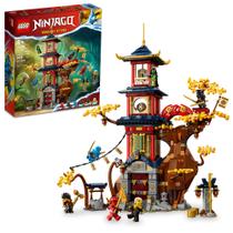 Brinquedo de construção LEGO NINJAGO Temple of The Dragon Energy 71795