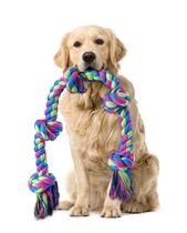 Brinquedo de corda para cães Aitmexcn XXL resistente para cães grandes e médios