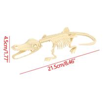 Brinquedo de dinossauro montado diy infantil Arqueologia Esqueleto fóssil de dinossauro