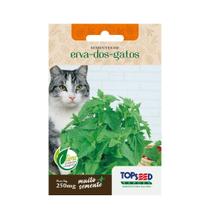 Brinquedo de Erva de Gatos Catnip 500 sementes