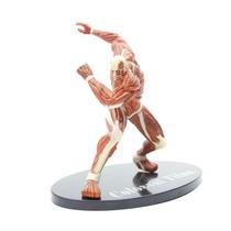 Brinquedo de figura de anime modelo colecionável Statue Toy Reiners Brauns