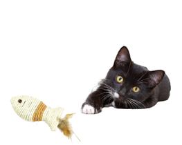 Brinquedo de Gato Peixe Sisal Pena Interativo Pelucia Pet