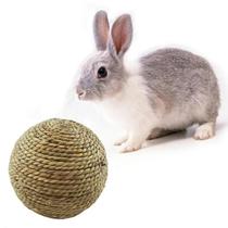 Brinquedo De Mastigar De Grama Natural De 6cm Para Coelhos, Hamsters E Porquinhos-da-Índia - Brinquedo De Mastigar De Grama Natural De 6cm Para Coelhos, Hamsters E Porquinhos-da-Índia -