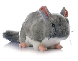 Brinquedo de pelúcia, coelho fofo MSNOR Chinchila, 30 cm, bicho de pelúcia