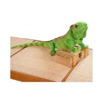 Brinquedo de Pelúcia Lagarto Camaleão 65cm - Travesseiro para Meninos