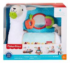 Brinquedo De Pelúcia Lhama Amigável - Fisher Price Ghj03