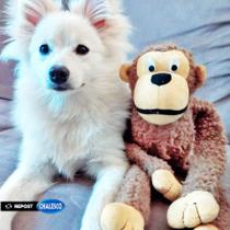 Brinquedo De Pelúcia Macaquinho Com Som Para Cães Chalesco Brinquedo De Pelúcia Macaquinho Com Som Para Cães Chalesco