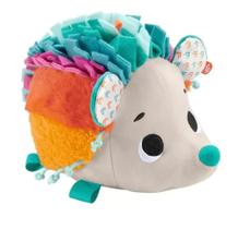 Brinquedo de Pelúcia Ouriço Estímulos Multicolorido HBP42 - Fisher-Price Brinquedo de Pelúcia Ouriço Estímulos Multicolorido HBP42 - Fisher-Price