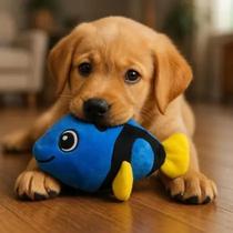 Brinquedo de Pelúcia Peixe Dory Pet para Cachorro Mordedor com Som Apito