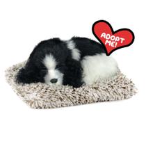 Brinquedo de pelúcia Perfect Petzzz Mini Cocker Spaniel 11x8x4 cm Brinquedo de pelúcia Perfect Petzzz Mini Cocker Spaniel 11x8x4 cm