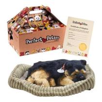 Brinquedo de Pelúcia Que Respira Perfect Petzzz Acompanha Pilha