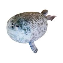 Brinquedo De Pelúcia Simulação De Foca Mãe E Filhote, Almofada De 20-50 Cm, Presente De Animal De