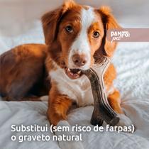 Brinquedo de Roer para Cães Benebone Maplestick Nylon Graveto Tronco Madeira Mordedor Cachorro Pet