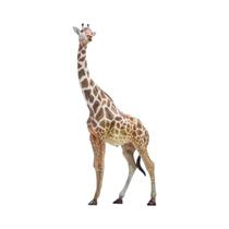 Brinquedo De Simulação De Girafa Pemba De 16 Polegadas, Modelo De Animais De Zoológico, Companheiro