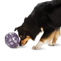 Brinquedo Dispensador de Ração PetSafe Busy Buddy Kibble Nibble - Para Cães Ansiosos ou Entediados - Tamanhos P e G