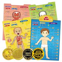 Brinquedo educacional interativo de anatomia humana BEST LEARNING Brinquedo educacional interativo de anatomia humana BEST LEARNING