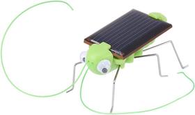 Brinquedo engraçado gafanhoto solar, 1 peça brinquedo educativo gafanhoto movido a energia solar para crianças Brinquedo engraçado gafanhoto solar, 1 peça brinquedo educativo gafanhoto movido a energia solar para crianças