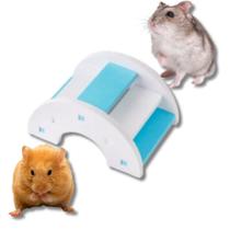 Brinquedo Escada Hamster Pequenos Roedores Calopsita Outros - C3b