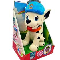 Brinquedo Esquadrão Pet Patrulha Canina - Super Toys