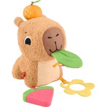 Brinquedo FISHER-PRICE Capivara Divertida com SONS para RECÉM-NASCIDOS