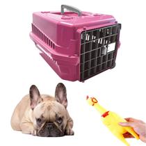 Brinquedo Galinha de Plastico Pet + Caixa Transporte N2 Rosa