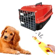 Brinquedo Galinha de Plastico Pet + Caixa Transporte Pet N3 - MecPet