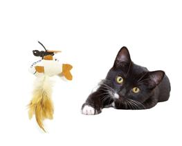 Brinquedo Gato Corda Peixe Penas Interativo Pelucia Pet