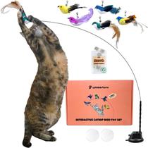 Brinquedo Interativo Catnip Bird Whiskertons com Ventosa